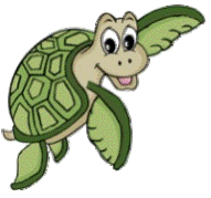 turtle cartoon